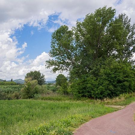 Villa Bruna San Giuliano Terme Bagian luar foto